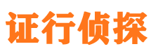 新野市调查公司